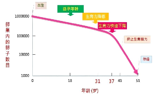 65ae06c956e8a.png image.png