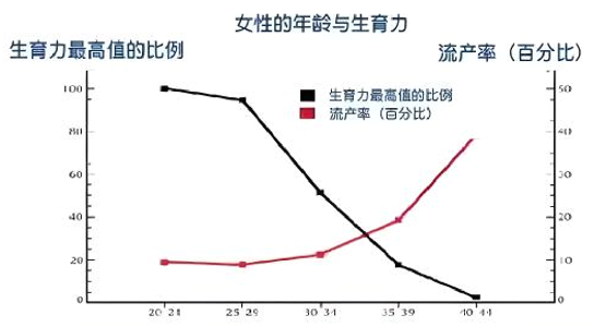 65ae079719b2b.png image.png